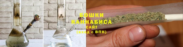 ГАЛЛЮЦИНОГЕННЫЕ ГРИБЫ Лиски