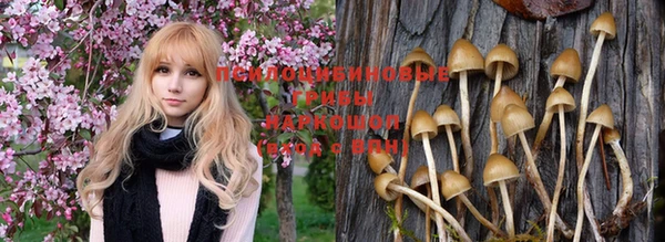 ГАЛЛЮЦИНОГЕННЫЕ ГРИБЫ Лихославль