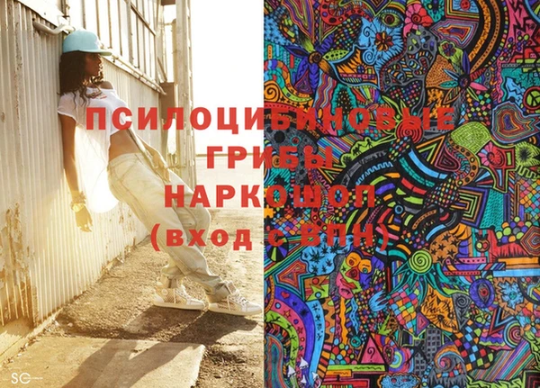 ГАЛЛЮЦИНОГЕННЫЕ ГРИБЫ Лиски